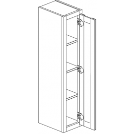 Wall Cabinet 21"Wx42"H Single Door 