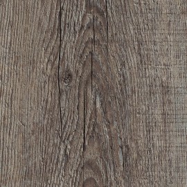 Kirkwood Oak  Kirkwood Oak