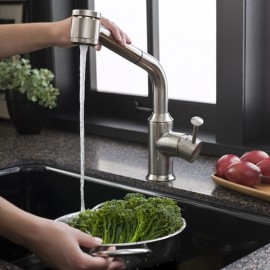 Pekoe Pull-Out High Arch Kitchen Faucet in Chrome 